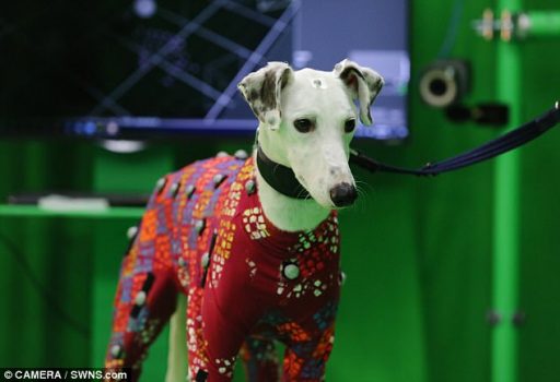 Animal motion capture data developments & the impact on animation